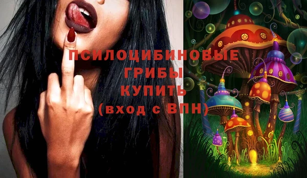 соль курить ск Алзамай