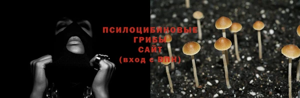соль курить ск Алзамай